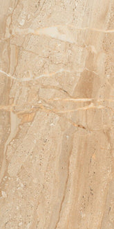 DYNA DELICATO - CRYSTAL PLUS 60x120